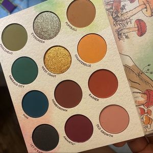 BNIB Colourpop Raw Beauty Kristi